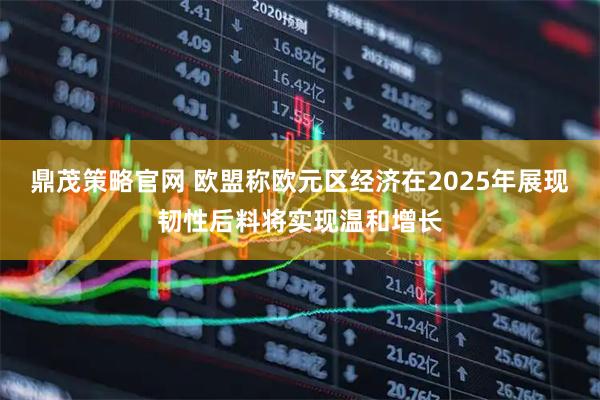 鼎茂策略官网 欧盟称欧元区经济在2025年展现韧性后料将实现温和增长
