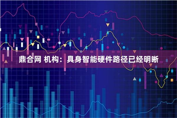 鼎合网 机构：具身智能硬件路径已经明晰