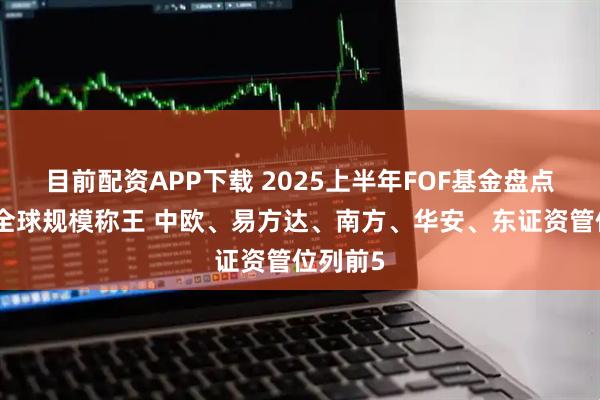 目前配资APP下载 2025上半年FOF基金盘点：兴证全球规模称王 中欧、易方达、南方、华安、东证资管位列前5