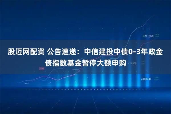 股迈网配资 公告速递：中信建投中债0-3年政金债指数基金暂停大额申购