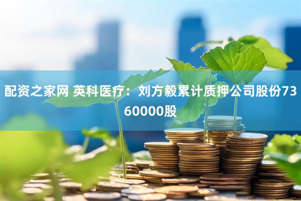 配资之家网 英科医疗：刘方毅累计质押公司股份7360000股
